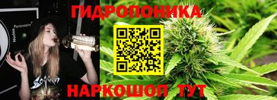 ПСИЛОЦИБИНОВЫЕ ГРИБЫ Сланцы