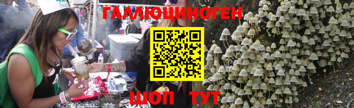 Галлюциногенные грибы Cubensis Сафоново